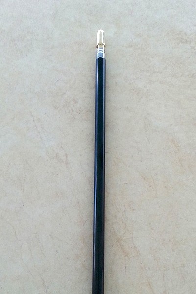 Extendable Telescopic Pole